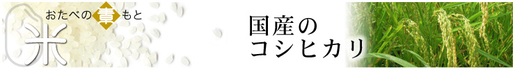 福井県産のコシヒカリ