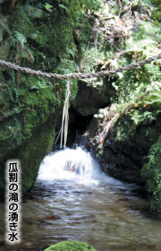 瓜割の滝の湧水