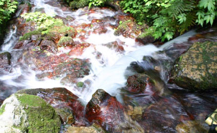 瓜割の水