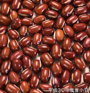 30年度産ファームタキモト小豆