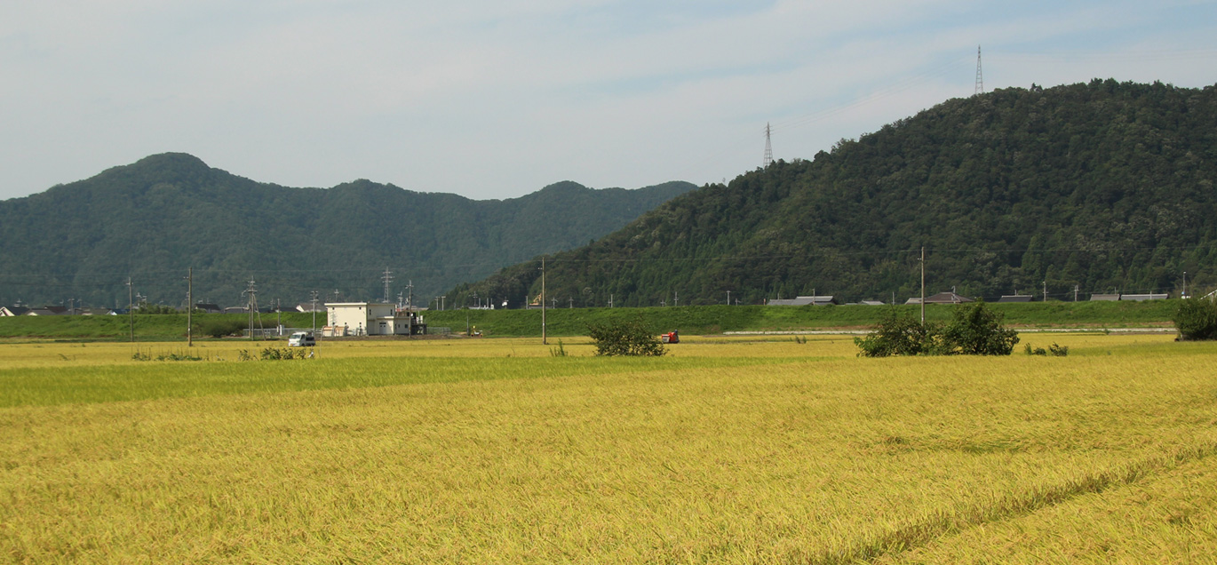 JA福井県第１グループ