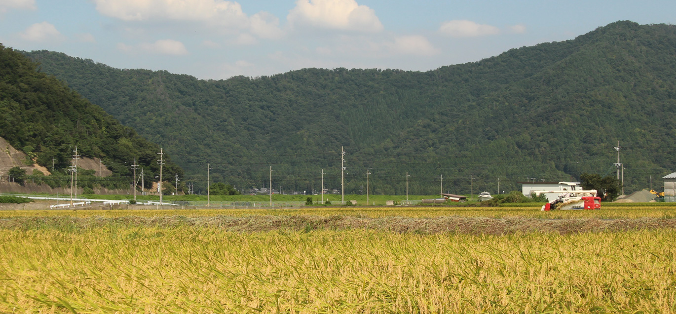 2016年秋JA福井県第１グループ