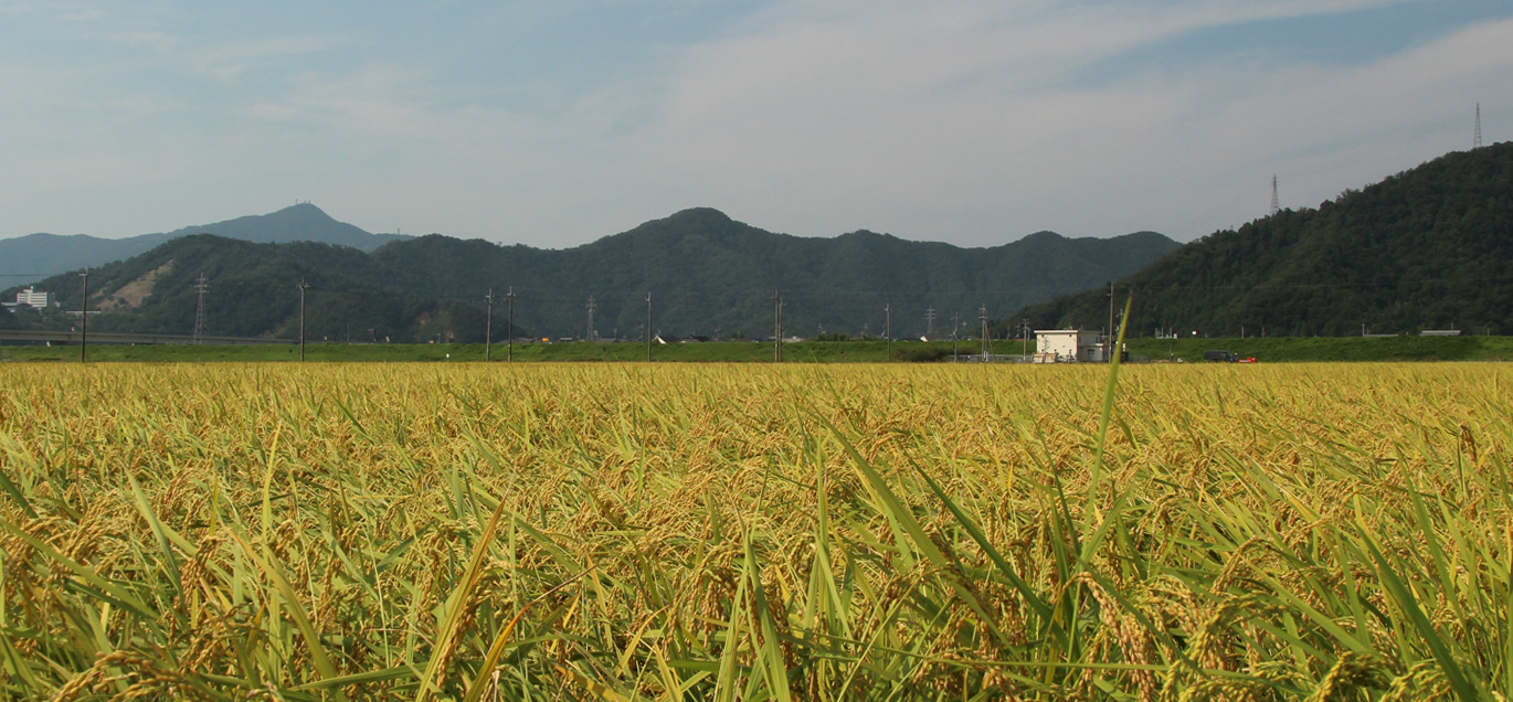 2016年秋JA福井県第１グループ